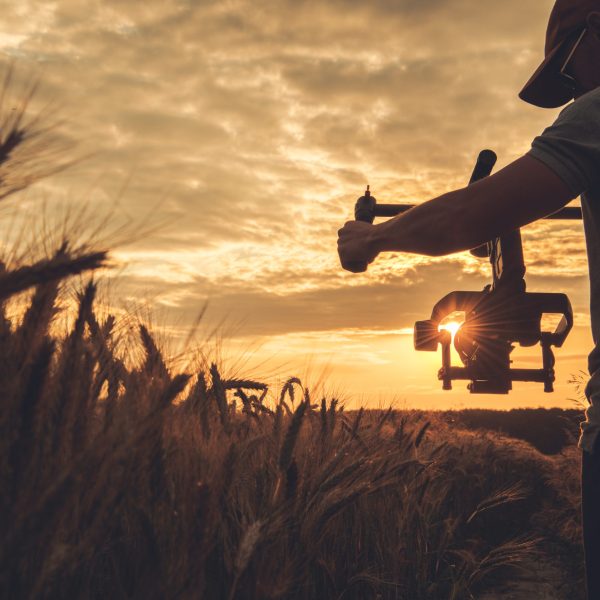 Cinema and Stock Footage Production. Caucasian Video Camera Operator in His 40s with Gimbal Stabilization Taking Steady Scenic Sunset Shot Between Rye Field.